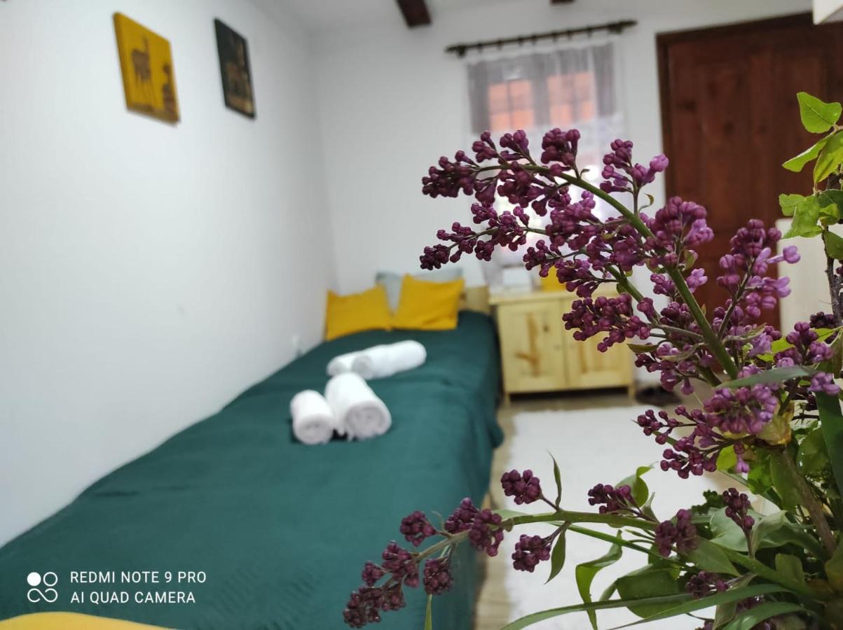 Appartamento Mitrovic Boljevac Esterno foto
